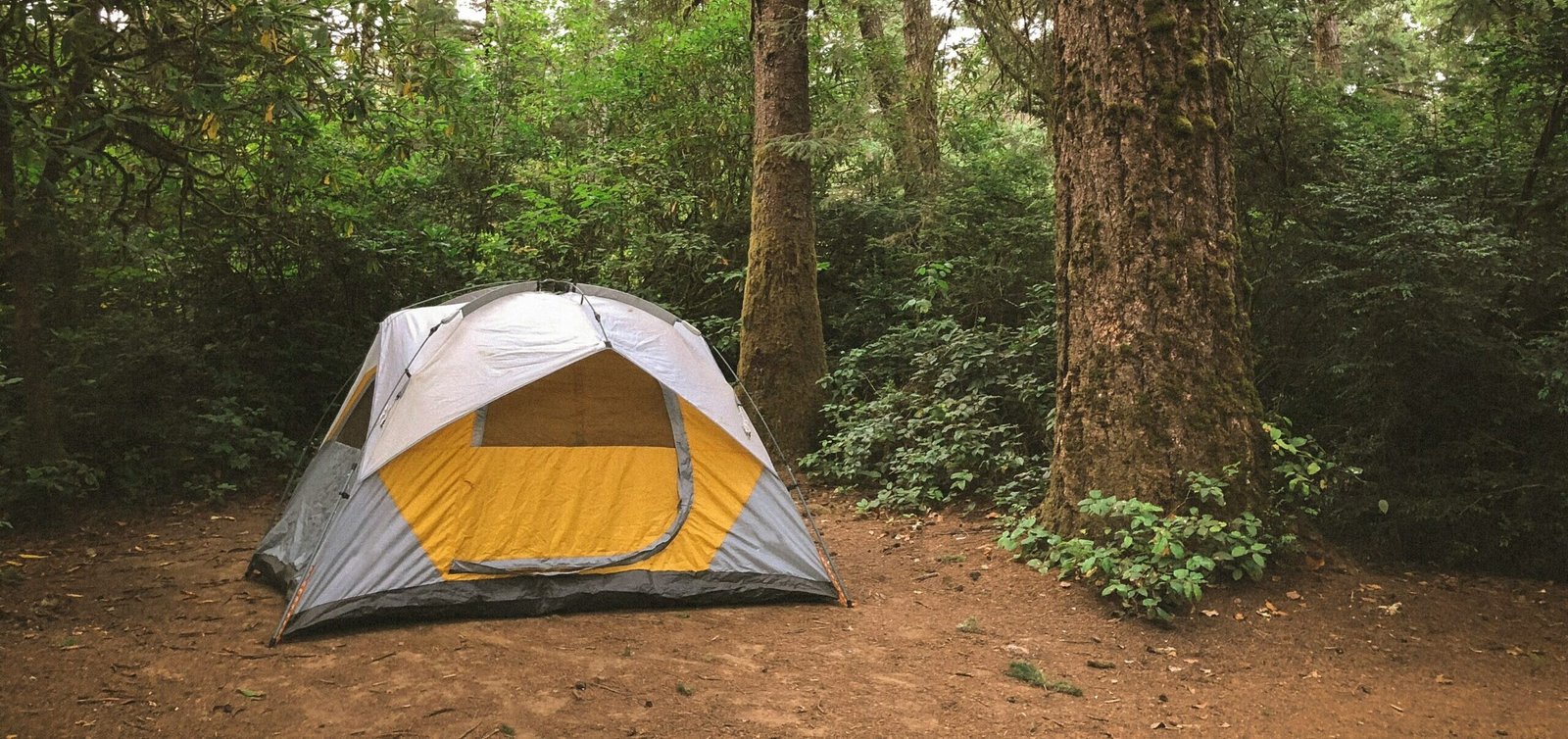Grey and yellow camping tent in a peaceful forest campground