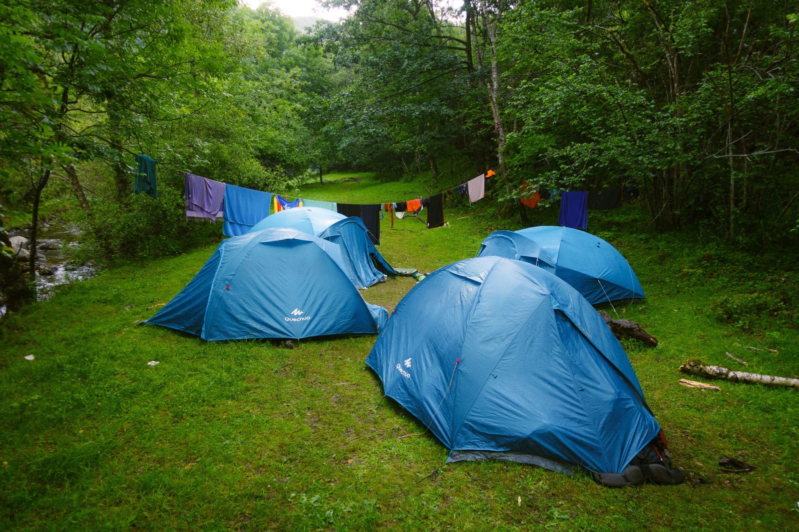 Blue camping tents set up in a green forest campsite beside a stream