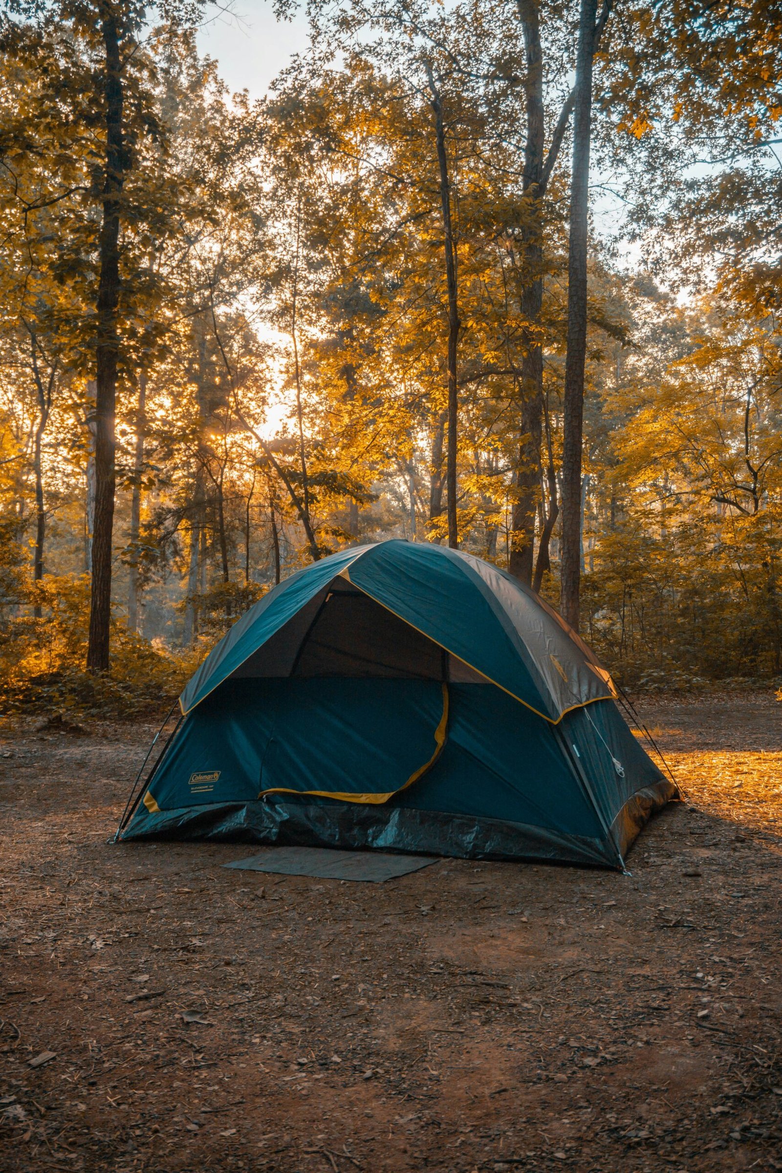Green dome camping tent in a forest with autumn sunlight